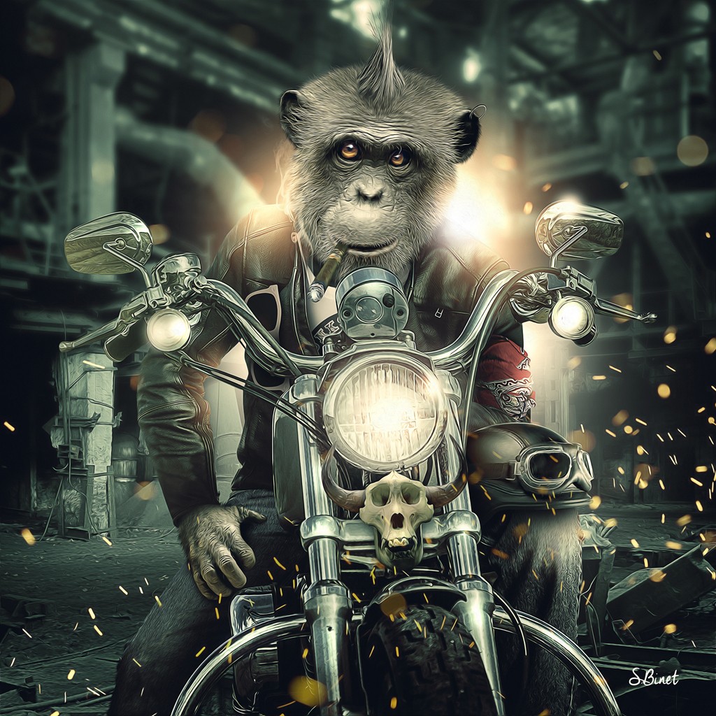 Sylvain Binet, Singe Moto (Affe, Schimpanse, Punk, Rocker, Motorrad, Biker, Frisur, Irokese,Vermenschlichung, Tier, antropomorph, Modern, Malerei, Jugendzimmer, Wohnzimmer, Wunschgröße, Popart)