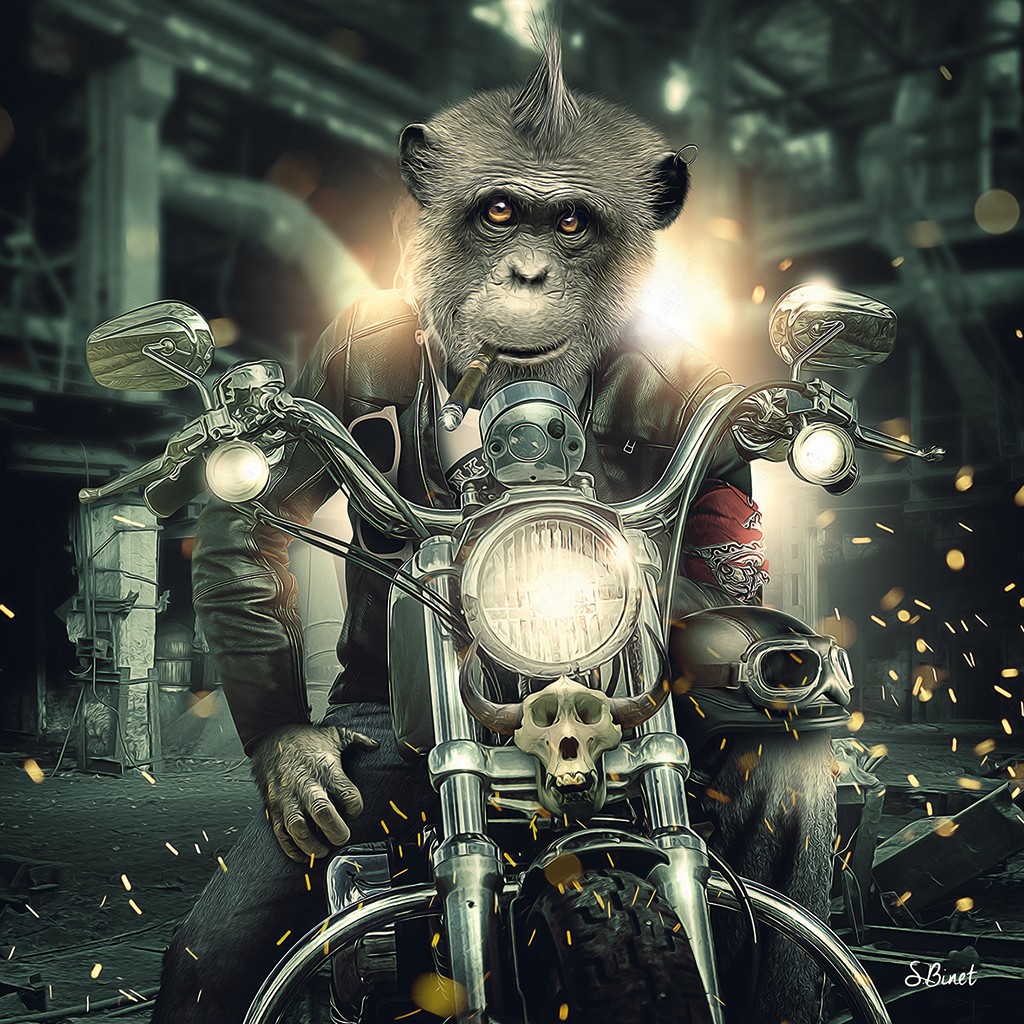 Sylvain Binet, Singe Moto (Affe, Schimpanse, Punk, Rocker, Motorrad, Biker, Frisur, Irokese,Vermenschlichung, Tier, antropomorph, Modern, Malerei, Jugendzimmer, Wohnzimmer,   Popart)