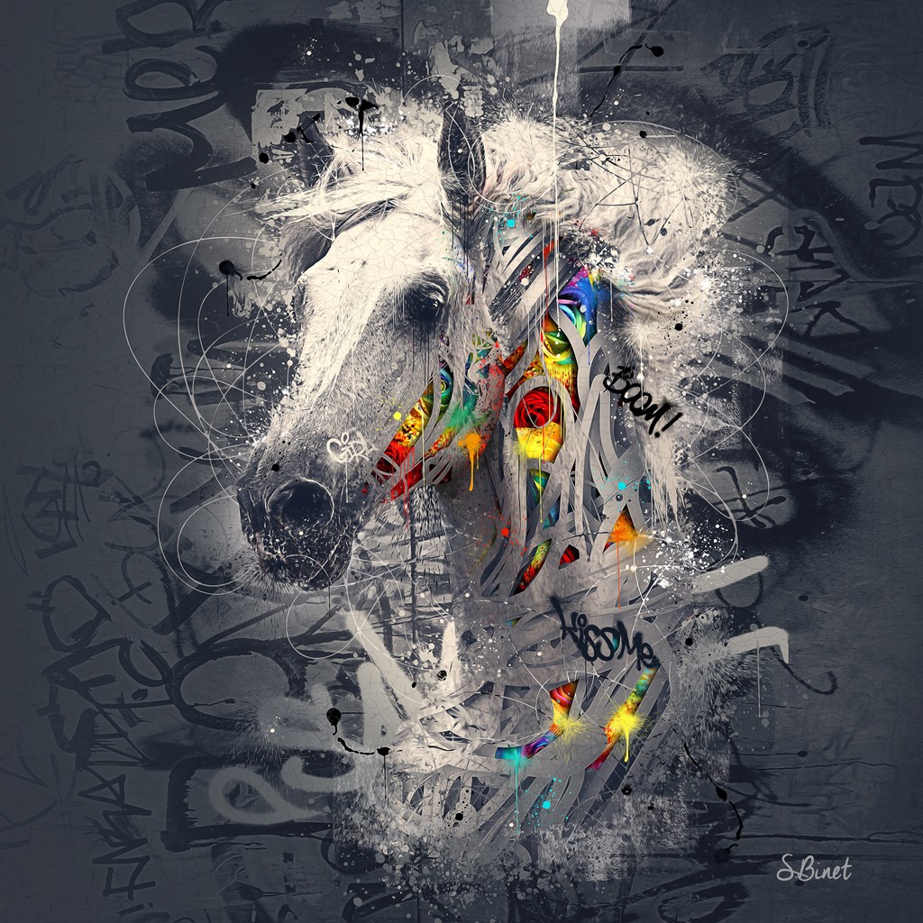 Sylvain Binet, Cheval Pop (Pferd, Schimmel, Tier, Graffity, abstrakter Hintergrund, Colourspot, Leuchtfarben, Neon,  Modern, Malerei, Jugendzimmer, Wohnzimmer, Wunschgröße, schwarz/weiß, bunt)