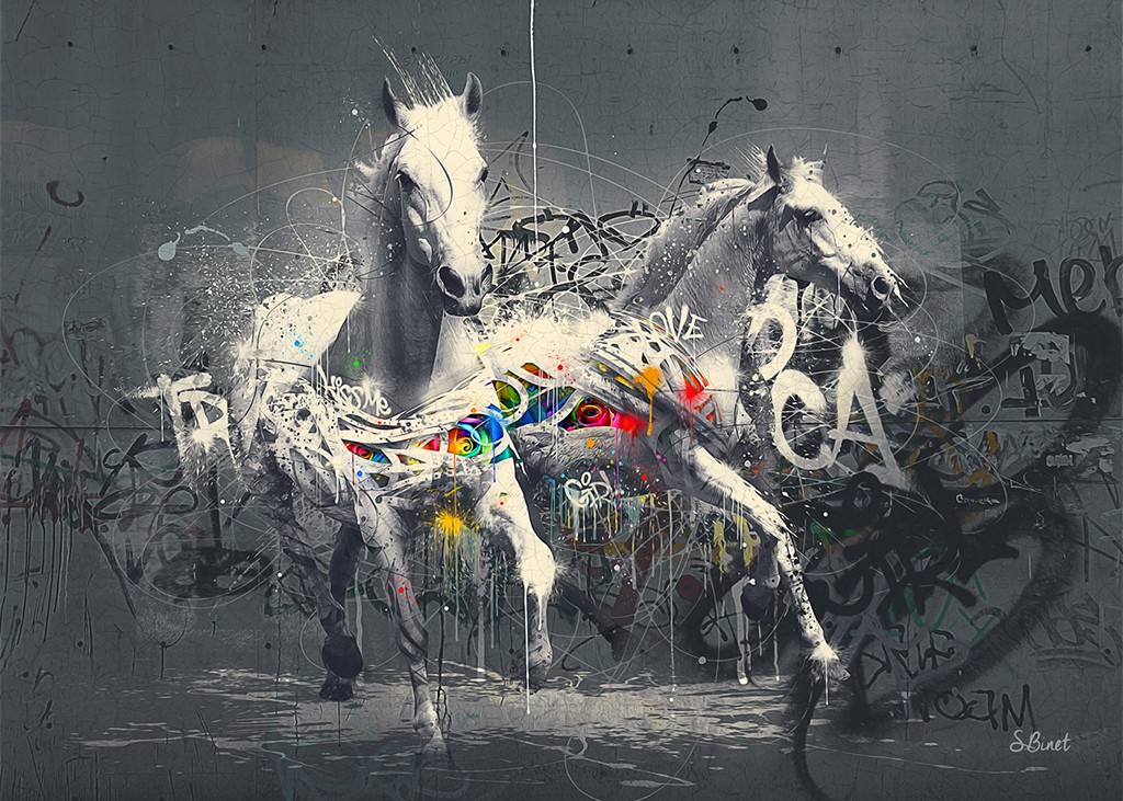 Sylvain Binet, Chevaux Pop (Pferde, Schimmel, Tiere, Graffity, abstrakter Hintergrund, Colourspot, Leuchtfarben, Neon, Modern, Malerei, Jugendzimmer, Wohnzimmer, Wunschgröße, schwarz/weiß, bunt)