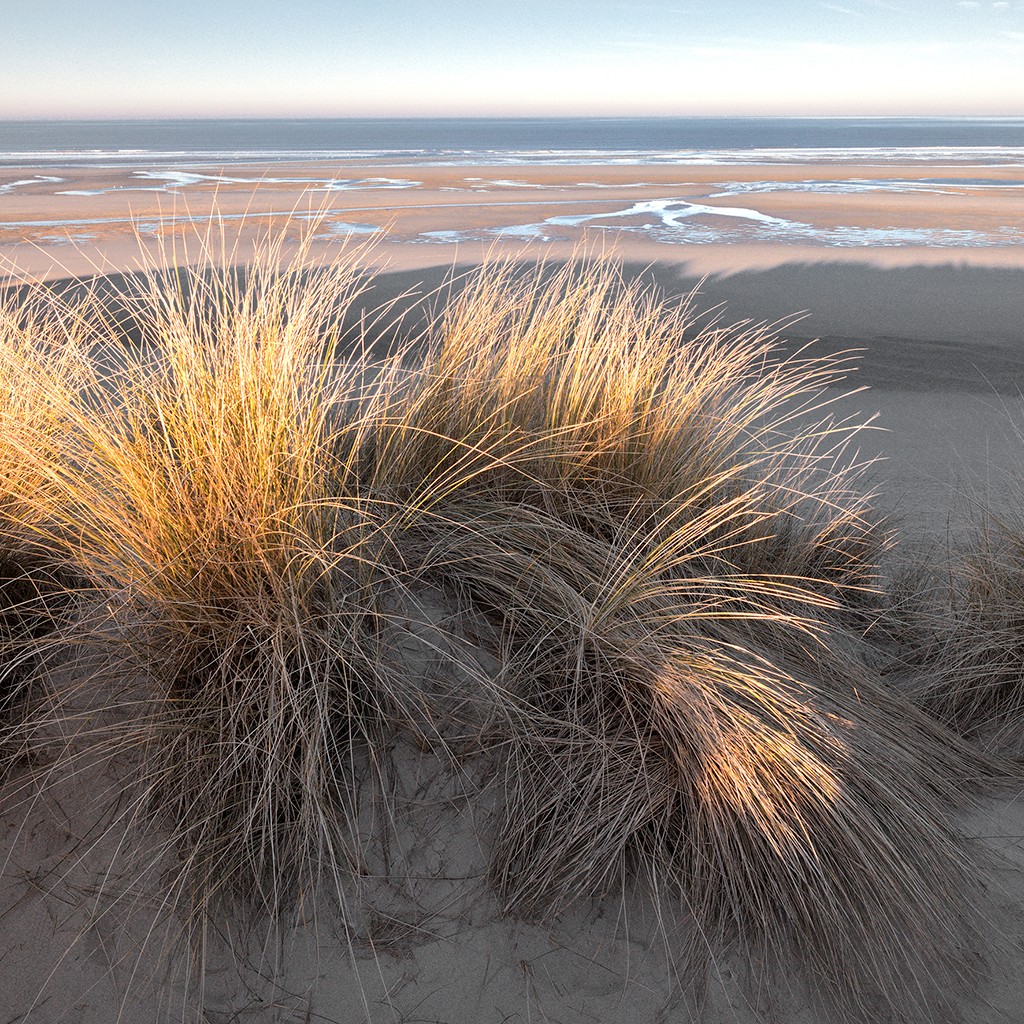 Georges-Félix Cohen, Baiser de soleil (Meeresbrise, Meer, Ruhe, Weite, Strand, Sand, Dünengras, Horizont, Urlaub, Erholung, Badezimmer, Treppenhaus, Arztpraxis, Wunschgröße, Fotografie, bunt)