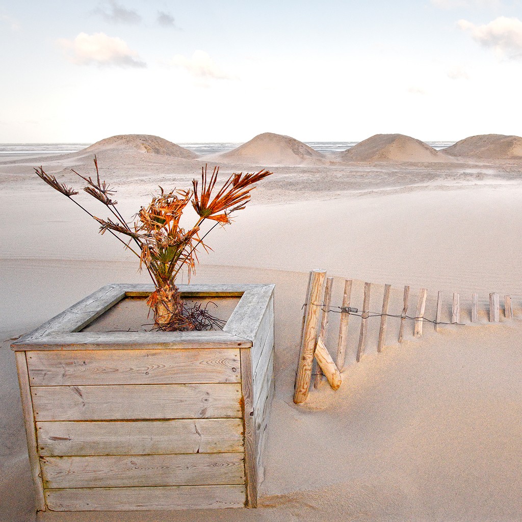 Georges-Félix Cohen, La magie des dunes (Dünen, Sand, Meeresbrise, Meer, Ruhe, Strand,  Horizont, Urlaub, Erholung, Badezimmer, Treppenhaus, Arztpraxis, Wunschgröße, Fotografie, bunt)