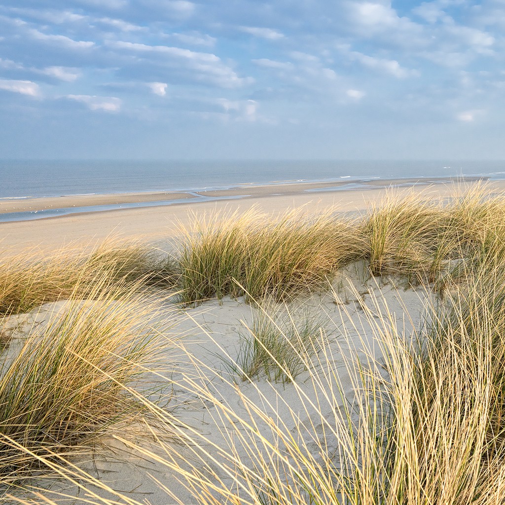 Georges-Félix Cohen, Les Dunes VI (Meeresbrise, Meer, Düne, Dünengras, Ruhe, Strand, Sand,   Horizont, Urlaub, Erholung, Badezimmer, Treppenhaus, Arztpraxis, Wunschgröße, Fotografie, bunt)