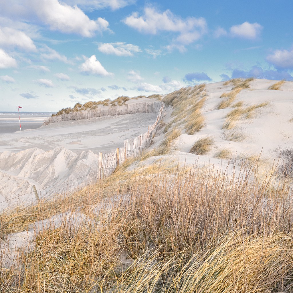 Georges-Félix Cohen, Les Dunes VII (Meeresbrise, Meer, Düne, Dünengras, Ruhe, Strand, Sand,    Urlaub, Erholung, Badezimmer, Treppenhaus, Arztpraxis, Wunschgröße, Fotografie, bunt)