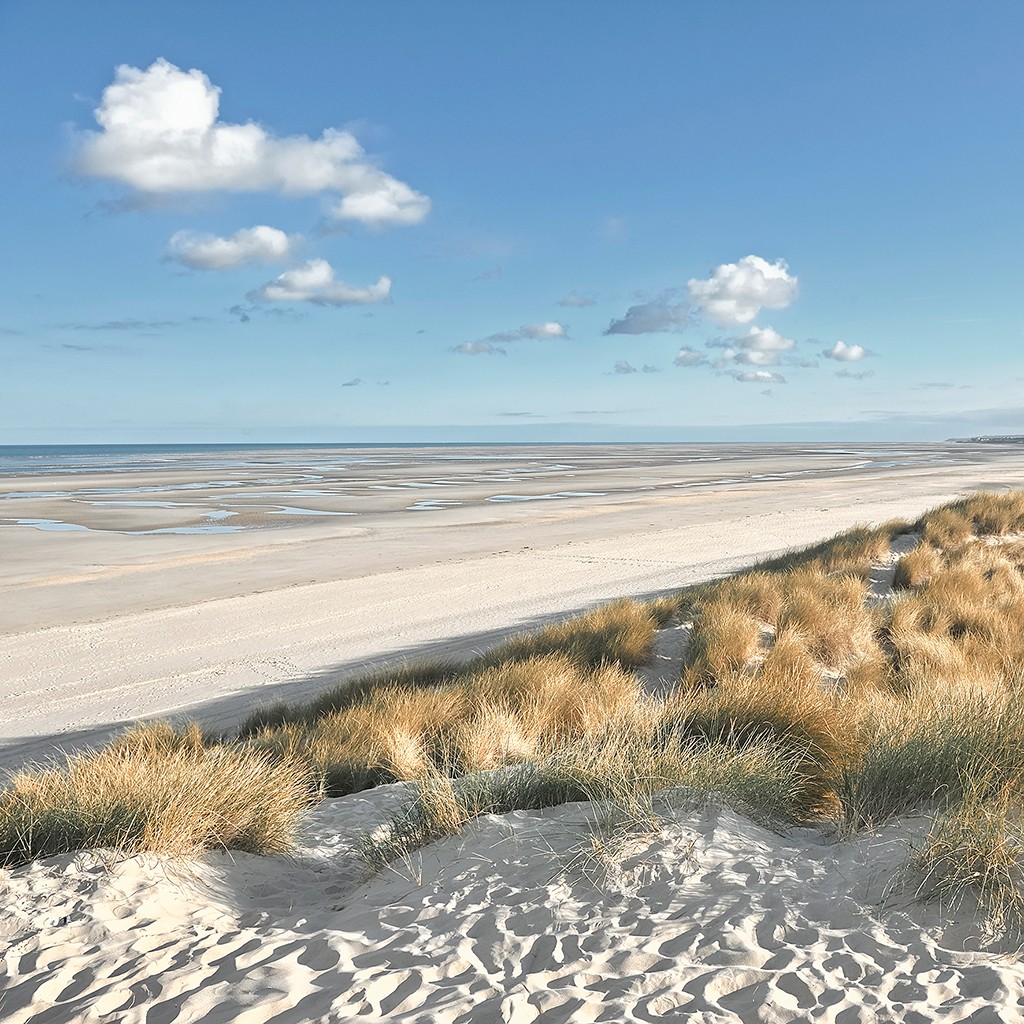 Georges-Félix Cohen, Les Dunes VIII (Meeresbrise, Meer, Düne, Dünengras, Ruhe, Strand, Sand,   Weite, Horizont, Urlaub, Erholung, Badezimmer, Treppenhaus, Arztpraxis, Wunschgröße, Fotografie, bunt)