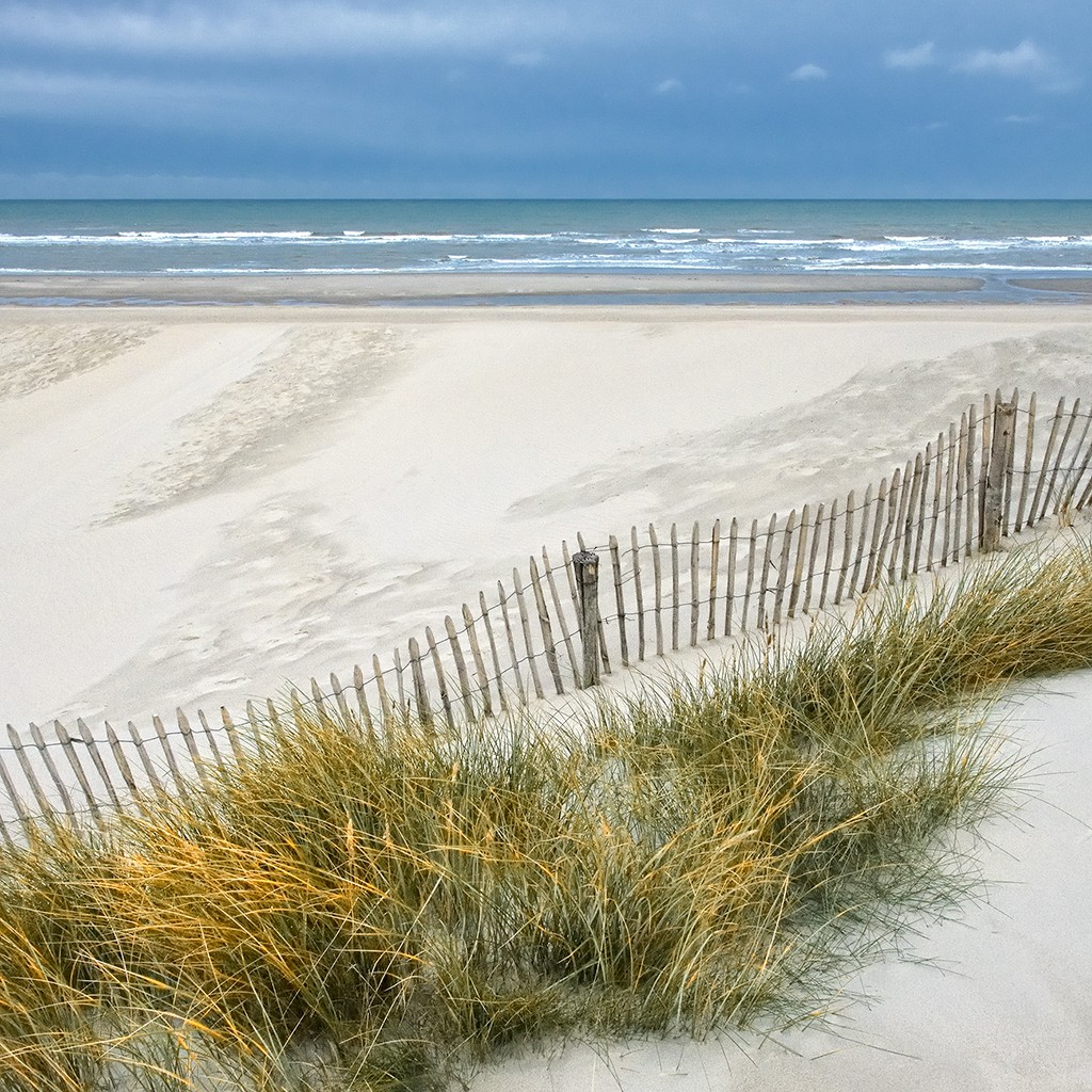 Georges-Félix Cohen, Les Dunes IX (Meeresbrise, Meer, Dünengras, Ruhe, Strand, Sand, Dünenzaun, Horizont, Urlaub, Erholung, Badezimmer, Treppenhaus, Arztpraxis, Wunschgröße, Fotografie, bunt)