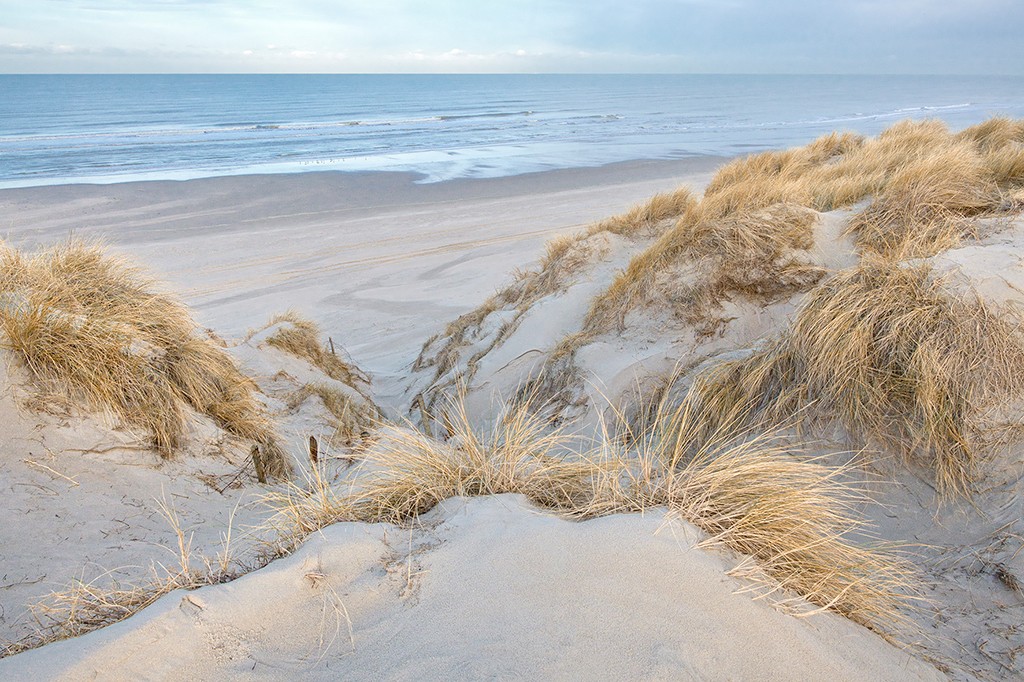 Georges-Félix Cohen, Les dunes - pastel (Meeresbrise, Meer, Düne, Dünengras, Ruhe, Strand, Sand,   Horizont, Urlaub, Erholung, Badezimmer, Treppenhaus, Arztpraxis, Wunschgröße, Fotografie, bunt)