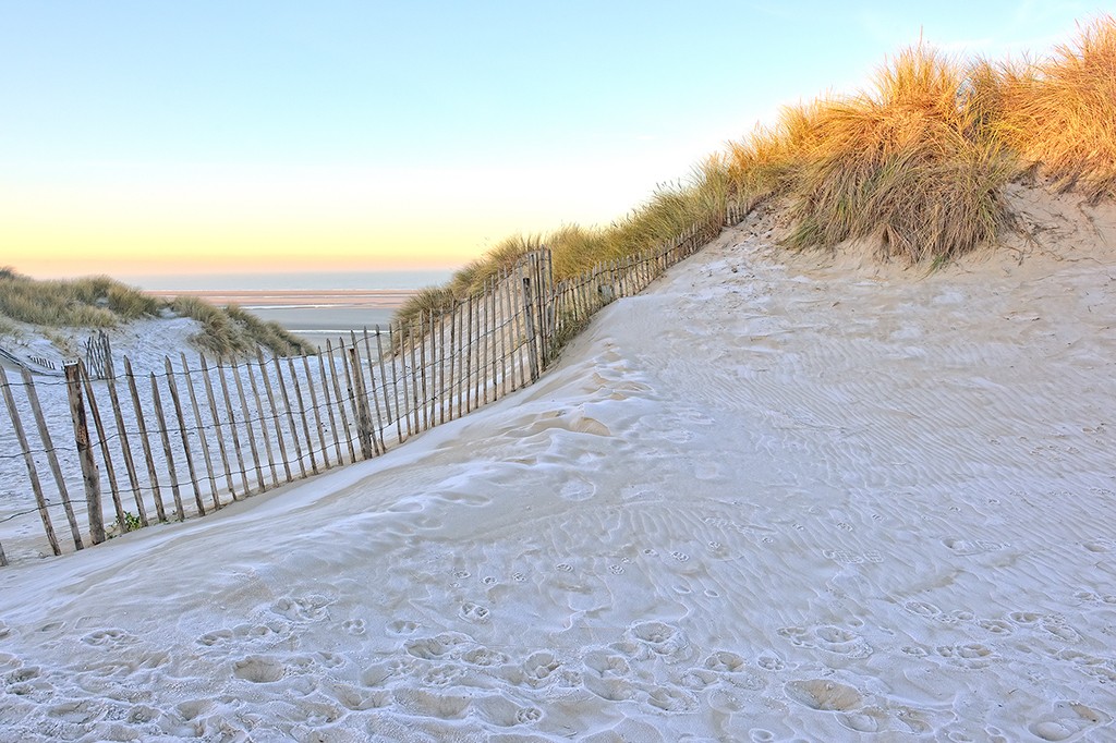 Georges-Félix Cohen, Les dunes XI (Meeresbrise, Meer, Düne, Dünengras, Ruhe, Strand, Sand,    Urlaub, Erholung, Badezimmer, Treppenhaus, Arztpraxis, Wunschgröße, Fotografie, bunt)