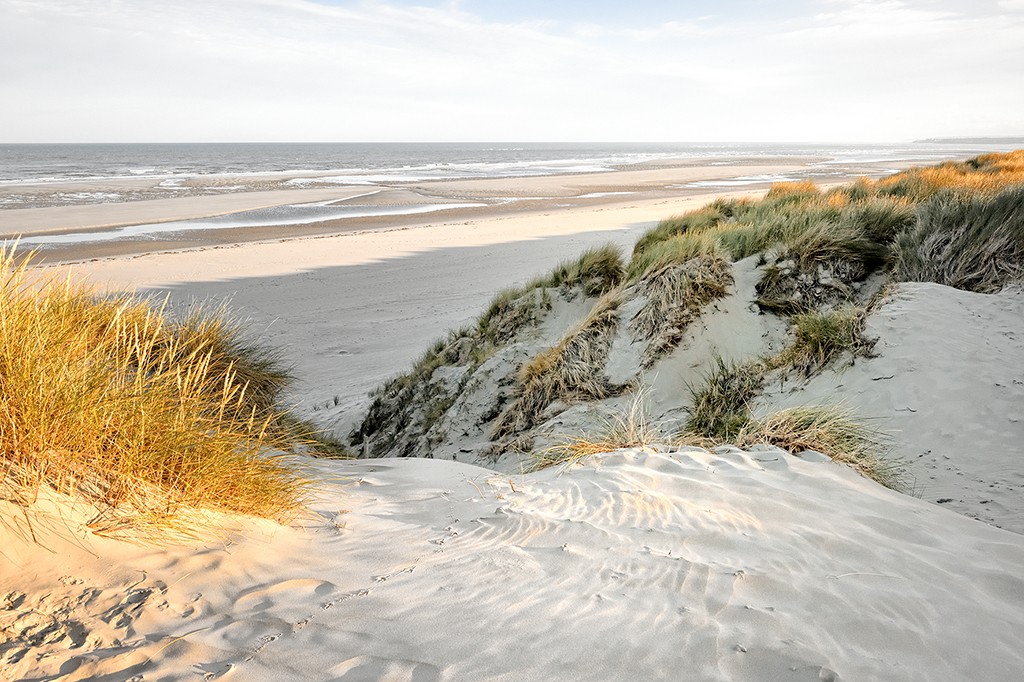 Georges-Félix Cohen, Les dunes XII (Meeresbrise, Meer, Düne, Dünengras, Ruhe, Strand, Sand,   Horizont, Urlaub, Erholung, Badezimmer, Treppenhaus, Arztpraxis, Wunschgröße, Fotografie, bunt)