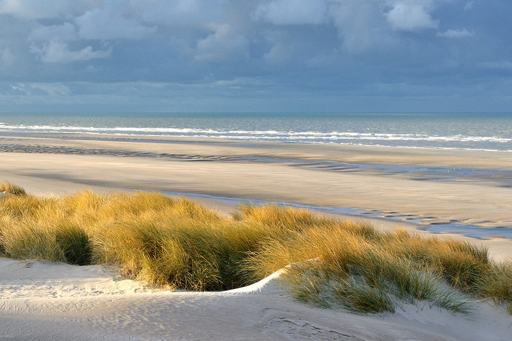 Georges-Félix Cohen, Les dunes XIII (Meeresbrise, Meer, Düne, Dünengras, Ruhe, Strand, Sand,   Horizont, Urlaub, Erholung, Badezimmer, Treppenhaus, Arztpraxis, Wunschgröße, Fotografie, bunt)