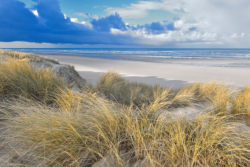 Georges-Félix Cohen, Vue sur la mer I (Meeresbrise, Meer, Düne, Dünengras, Ruhe, Strand, Sand,   Horizont, Urlaub, Erholung, Badezimmer, Treppenhaus, Arztpraxis, Wunschgröße, Fotografie, bunt)