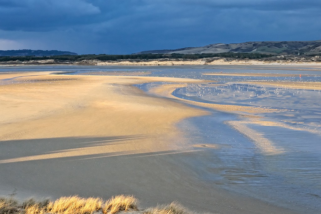 Georges-Félix Cohen, La plage (Meeresbrise, Meer, Düne, Dünengras, Ruhe, Strand, Sand,   Horizont, Urlaub, Erholung, Badezimmer, Treppenhaus, Arztpraxis, Wunschgröße, Fotografie, bunt)