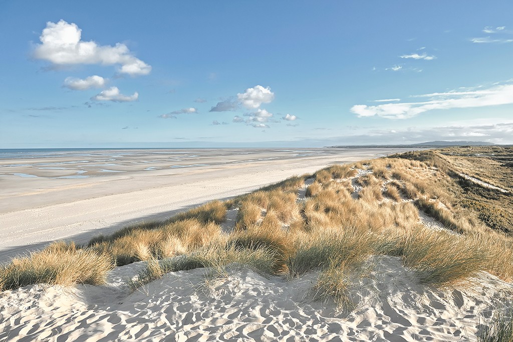 Georges-Félix Cohen, Lonely beach (Meeresbrise, Meer, Düne, Dünengras, Ruhe, Strand, Sand,   Horizont, Urlaub, Erholung, Badezimmer, Treppenhaus, Arztpraxis, Wunschgröße, Fotografie, bunt)