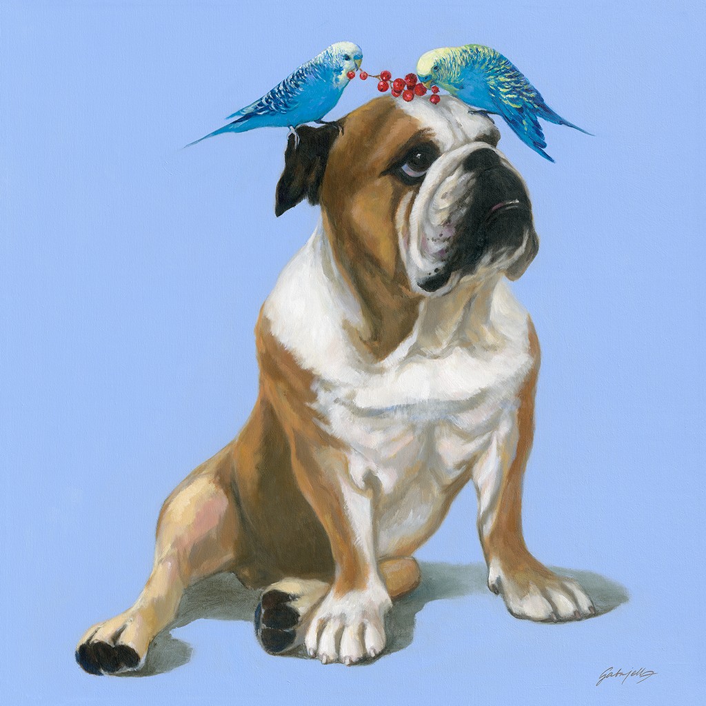 Gabrielle, Montpensier N°8 (Sittiche, Wellensittiche, Vögel, frech, Bulldogge, Wunschgröße, modern, Wohnzimmer, Jugendzimmer,)