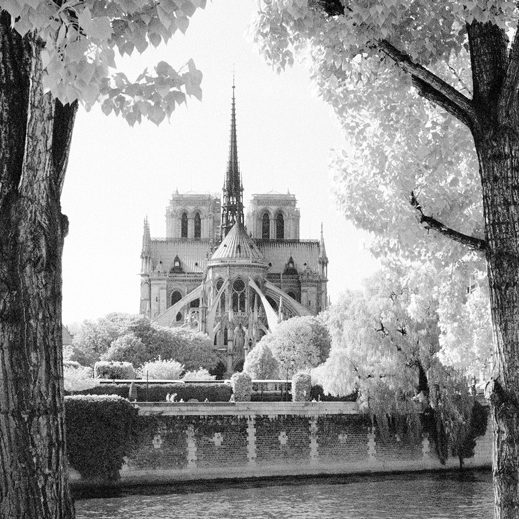 Dave Butcher, France Paris Notre-Dame (Wunschgröße, Fotokunst, Städte, Paris, Kathedrale, Architektur, Gotik, Strebepfeiler, Chor, Fluss, Seine, Wohnzimmer, Treppenhaus, schwarz/weiß)