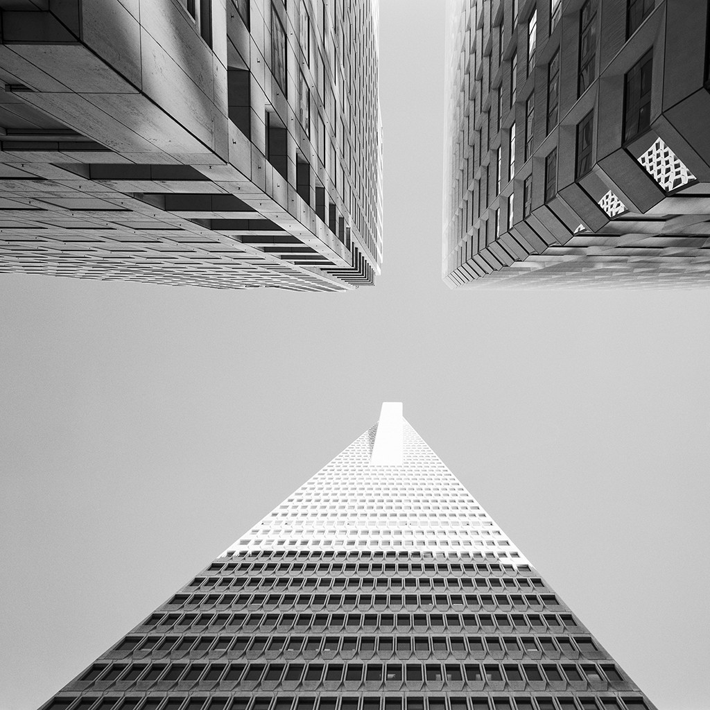 Dave Butcher, San Francisco Transamerica Pyramid Trio (Wunschgröße, Fotografie, modern, Architektur, Wolkenkratzer, Kalifornien,   Perspektive, Büro, Wohnzimmer, Treppenhaus, schwarz/weiß)