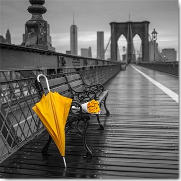 Assaf Frank, New York II (Wunschgröße, Fotokunst, Stadt, New York, metropole, Brooklyn Bridge,  Nostalgie, Idylle, gelber Regenschirm, gelbe Rosen, Italien, Wohnzimmer, Arztpraxis, schwarz / weiß, gelb,Colorspot)