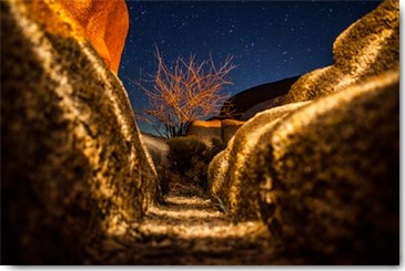 Tom Lichtenwalter, Way to the Stars (Landschaft, Felsen, natur, Nachtszene, Amerika,  Einsamkeit, Arztpraxis, Treppenhaus, Wunschgröße, bunt)