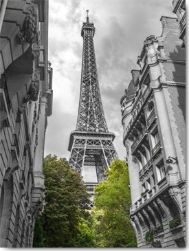 Assaf Frank, Paris my Love (Eiffelturm, Paris, Wahrzeichen, Architektur, Colourspot, Fotokunst, Wohnzimmer, schwarz/weiß/grün)