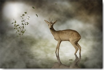 Michiel Visser, Young Deer (Reh Rehbock, junger Rehbock, Nebel, Dunst, Wohnzimmer, Treppenhaus, Fotokunst, Wunschgröße, bunt)