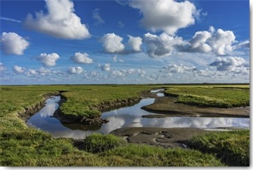 Tom Lichtenwalter, Water and Earth (Landschaft, Feuchtgebiet, Wasserläufe, Bach, Horizont, Wolken, Stimmung,  Fotokunst, Wohnzimmer, Arztpraxis, Treppenhaus, Wunschgröße, bunt)