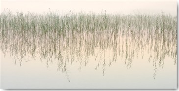 Uwe Steger, Timeless (Landschaften, Wasser, See, Gräser, Zeitlos, diffus, Dunst, Dämmerung, Morgenlicht, Stimmung, Fotokunst, Wohnzimmer, Schlafzimmer, Treppenhaus, Wunschgröße,  bunt)