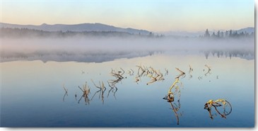 Uwe Steger, Solitude (Landschaften, Wasser, See,  Zeitlos, diffus, Dunst, Dämmerung, Morgenlicht, Stimmung, Fotokunst, Wohnzimmer, Schlafzimmer, Treppenhaus, Wunschgröße,  bunt)