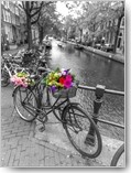 Assaf Frank, Rest I (Gracht, Kanal, Fahrräder, Blumenkorb, Blumenschmuck, Nostalgie, Amsterdam, Städte, Wohnzimmer, Treppenhaus, Wunschgröße, Colorspot, Fotokunst, schwarz/weiß/bunt)