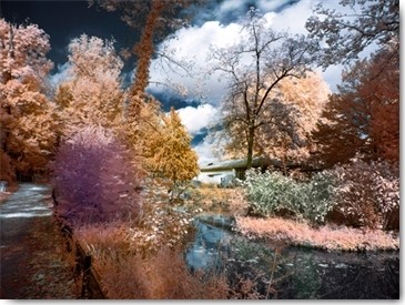 Tonee Gee, Cayac I (Bäume, Park, Frankreich, Farbvariation, Fotokunst, modern, dekorativ, Wohnzimmer, Treppenhaus, Wunschgröße, bunt)