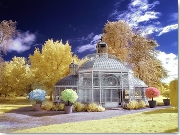 Tonee Gee, Glasshouse Eiffel (Glashaus, Gustave Eiffel, Pavillon, Gartenarchitektur, Fotokunst, Wunschgröße, Wohnzimmer, bunt)