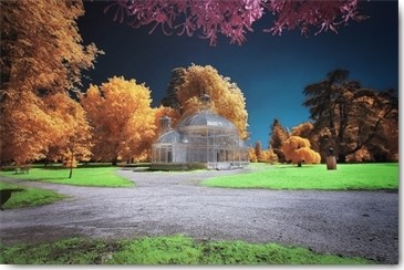 Tonee Gee, Gradignan, Glasshouse I (Glashaus, Gustave Eiffel, Frankreich, Pavillon, Gartenarchitektur, Fotokunst, Wunschgröße, Wohnzimmer, bunt)