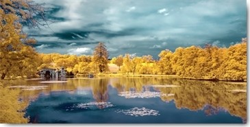 Tonee Gee, Majolan, the Lake (Bäume, Park, Frankreich, Blanquefort, See, Spiegelungen, Farbvariation, Fotokunst, modern, dekorativ, Wohnzimmer, Treppenhaus, Wunschgröße, bunt)