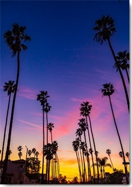 Tom Lichtenwalter, Skytouch (Palmen, Palmenallee, Silhouetten, Sonnenuntergang, Fotokunst, Wohnzimmer, Schlafzimmer, Treppenhaus, Wunschgröße, bunt)