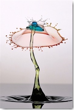 Manuel Sanchez, Ubrella Crown (Tropfen, Abstrakt, Modern, Wassertropfen, Makro, Momentaufnahme, Fotokunst, Splash, Spritzer, Wunschgröße, Wohnzimmer, Badezimmer, Treppenhaus, bunt)