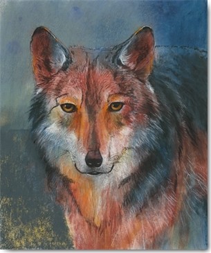 Loes Botman, Roter Wolf (Wolf, Isegrimm, Raubtier, aufmerksam, Jäger, Waldtiere, Tiere, Wohnzimmer, Treppenhaus, Wunschgröße, Malerei, bunt)