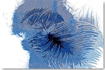 Matthias Baumann, Verschlungen (Federn, filigran, Nahaufnahme, verfremdet, abstrahiert, Fotokunst, Treppenhaus, Wohnzimmer, Wunschgröße, blau/weiß)
