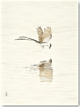 Heidi Lots, Water, Water, Mirror…(Who is the fairest (Vogel, Fliegen, Wasseroberfläche, Spiegelung, Ornotologie, Studie, Tier, Treppenhaus, Wohnzimmer, Wunschgröße,Malerei, bunt)