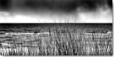 Uwe Steger, Storm I (Meer, Dünengras, Horizont, Meeresbrise, Unwetter, Sturm, bedrohlich, rauh, Fotokunst, Wohnzimmer, Treppenhaus, Wunschgröße, schwarz/weiß)