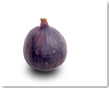 Volker Brosius, Feige (Feige, Frucht, Obst, Fotokunst, Wunschgröße, Küche, Esszimmer, Treppenhaus, violett, weiß)