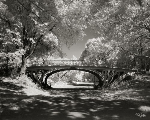 Ralf Uicker, Central Park Bridge (Fotokunst, Städte, Park, Bäume, Brücke, New York, Amerika, Wohnzimmer, Treppenhaus, schwarz/weiß)