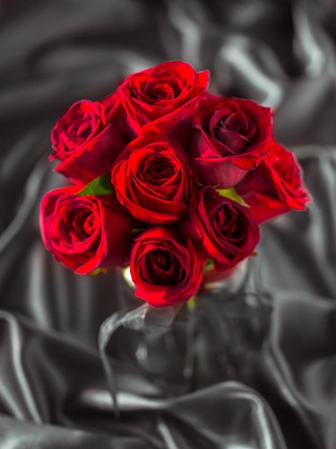 Assaf Frank, Emotions III (Rosenstrauß, rote Rosen, Liebe, Symbol, Colourspot, edel, Fotokunst, Treppenhaus, Standesamt, Wohnzimmer, grau/rot)