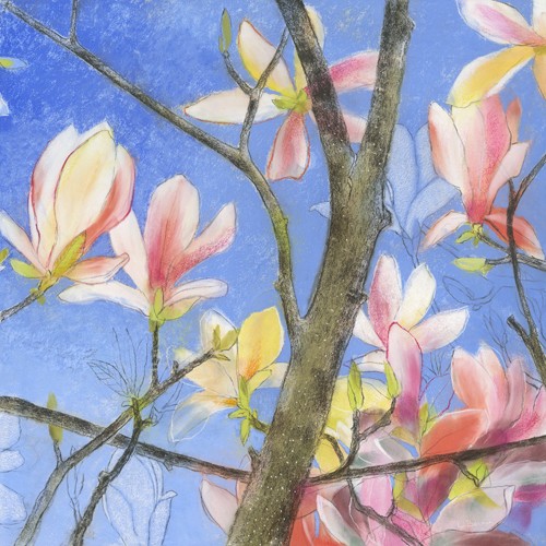 Loes Botman, Magnolie 2 (Wunschgröße, Malerei, Natur, Magnolie, Magnolienblüten, Zweig, Blüten, Botanik, Pflanze,  Schlafzimmer, Treppenhaus, bunt)