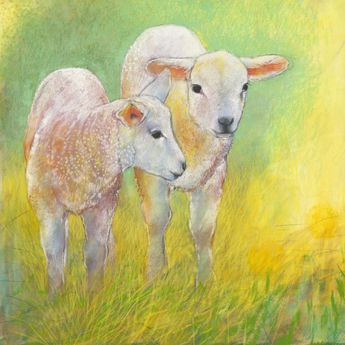 Loes Botman, Lämmer (Lamm, Tierbaby, putzig, niedlich, Nutztiere, Tiere, Wohnzimmer, Treppenhaus, Wunschgröße, Malerei, bunt)