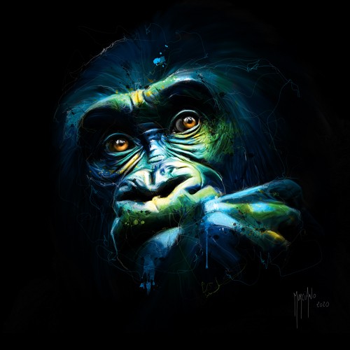 Patrice Murciano, Black Kong (Pop Art, Affe, Gorilla, Tier, Tierportrait, nachdenklich, Modern, Malerei, Jugendzimmer, Wohnzimmer, Jugendzentrum, Wunschgröße, blau/schwarz)