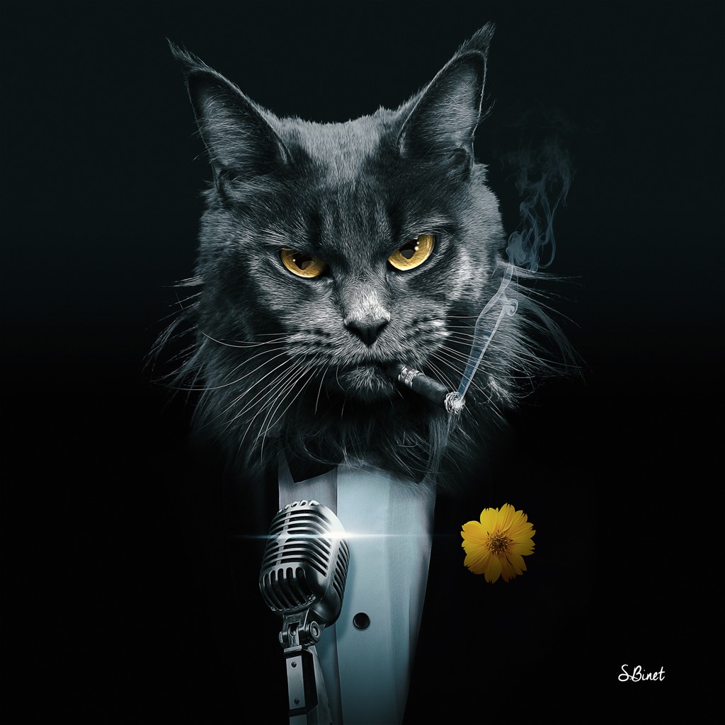 Sylvain Binet, Chat Krooner (Katze, Kater, Raucher, Zigarre, Mikrophon, Vermenschlichung, Tierportrait, antropomorph, Modern, Malerei, Jugendzimmer, Wohnzimmer, Wunschgröße, schwarz/weiß, gelb)