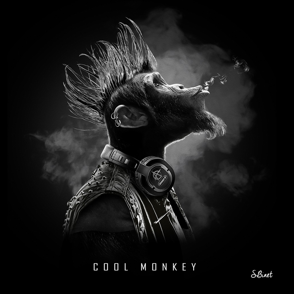 Sylvain Binet, Cool Monkey (Affe, Schimpanse, Punk, Frisur, Irokese, Profil, Rauchen, Vermenschlichung, Tierportrait, antropomorph, Modern, Malerei, Jugendzimmer, Wohnzimmer, Wunschgröße, schwarz/weiß)