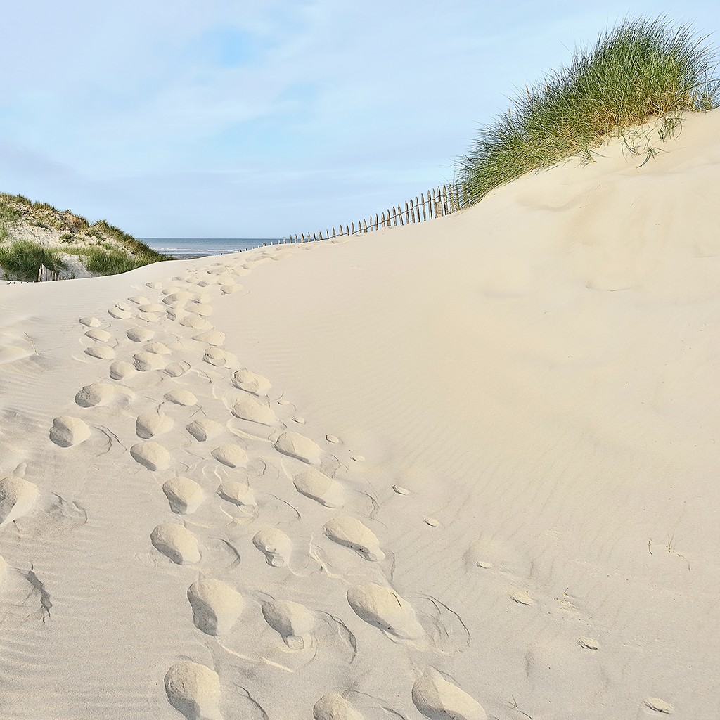 Georges-Félix Cohen, Les Dunes X (Meeresbrise, Meer, Düne, Dünengras, Ruhe, Sand, Spuren,   Urlaub, Erholung, Badezimmer, Treppenhaus, Arztpraxis, Wunschgröße, Fotografie, bunt)