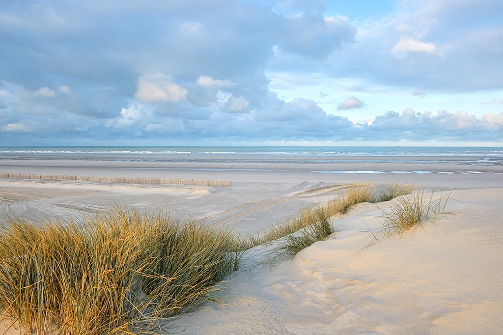 Georges-Félix Cohen, Les dunes XIV (Meeresbrise, Meer, Düne, Dünengras, Ruhe, Strand, Sand,   Horizont, Urlaub, Erholung, Badezimmer, Treppenhaus, Arztpraxis, Wunschgröße, Fotografie, bunt)