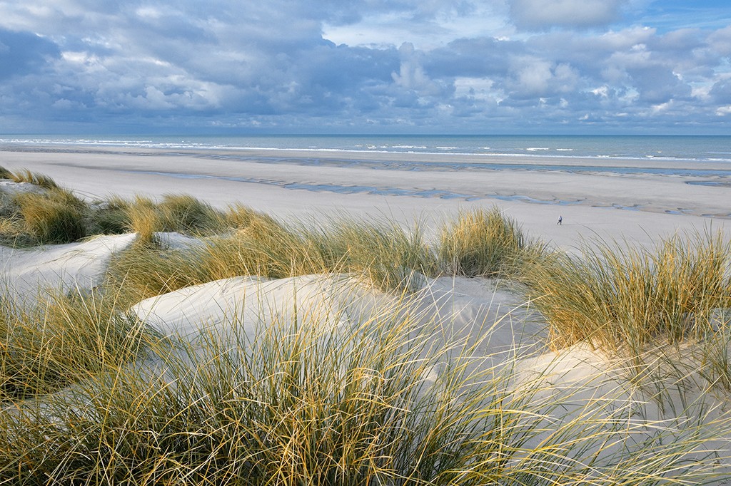 Georges-Félix Cohen, Vue sur la mer II (Meeresbrise, Meer, Düne, Dünengras, Ruhe, Strand, Sand,   Horizont, Urlaub, Erholung, Badezimmer, Treppenhaus, Arztpraxis, Wunschgröße, Fotografie, bunt)