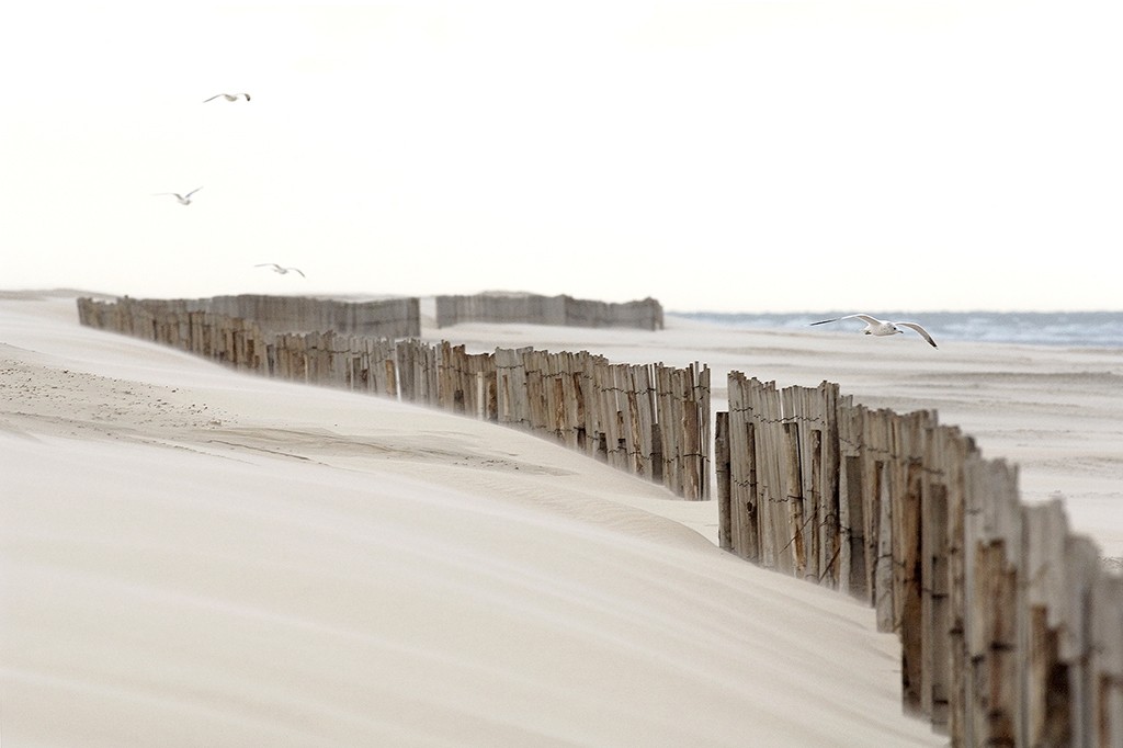 Georges-Félix Cohen, La barrière V (Meeresbrise, Meer, Ruhe, Strand, Sand, Barriere, Möwen,  Horizont, Urlaub, Erholung, Badezimmer, Treppenhaus, Arztpraxis, Wunschgröße, Fotografie, bunt)